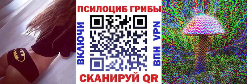 Псилоцибиновые грибы MAGIC MUSHROOMS  это Telegram  Аша 